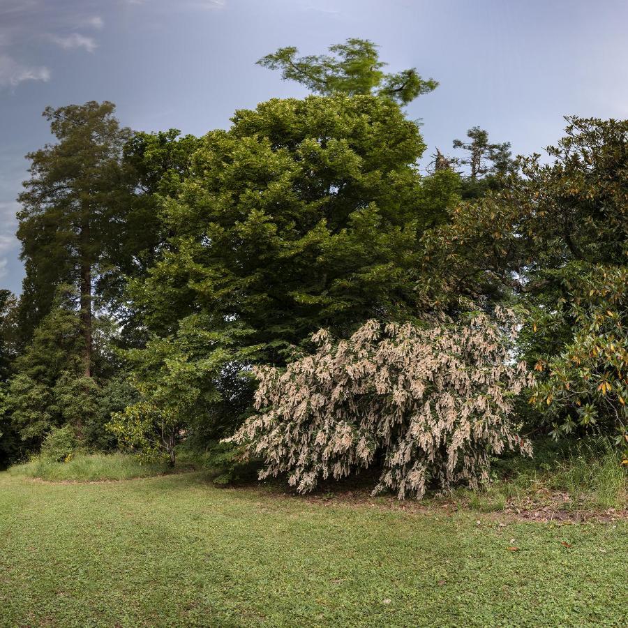 Le Domaine De Langlardie Soudat Buitenkant foto